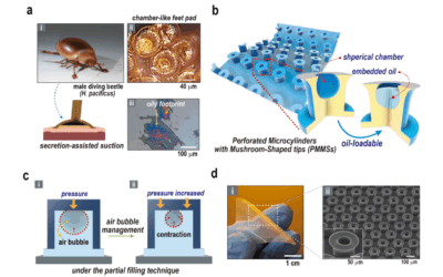 Wet Bio-Adhesion Technology Using Flexible Micro-Cylinders Inspired by a Beetle’s Structure
