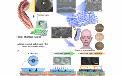 Skin-adaptive Adhesive Electronic Patch Utilizing Octopus Suction Technology