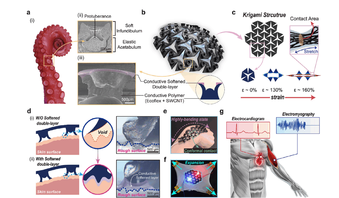 Ultra-Stretchable Bioelectronics for Robust and Repeatable Biosignal Measurement