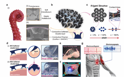 Ultra-Stretchable Bioelectronics for Robust and Repeatable Biosignal Measurement